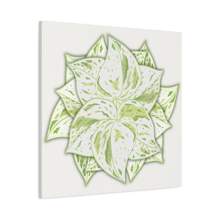 Snow Queen Pothos Canvas Wall Art Variegated Indoor Plant Leaf Poster Print Cotton Canvas