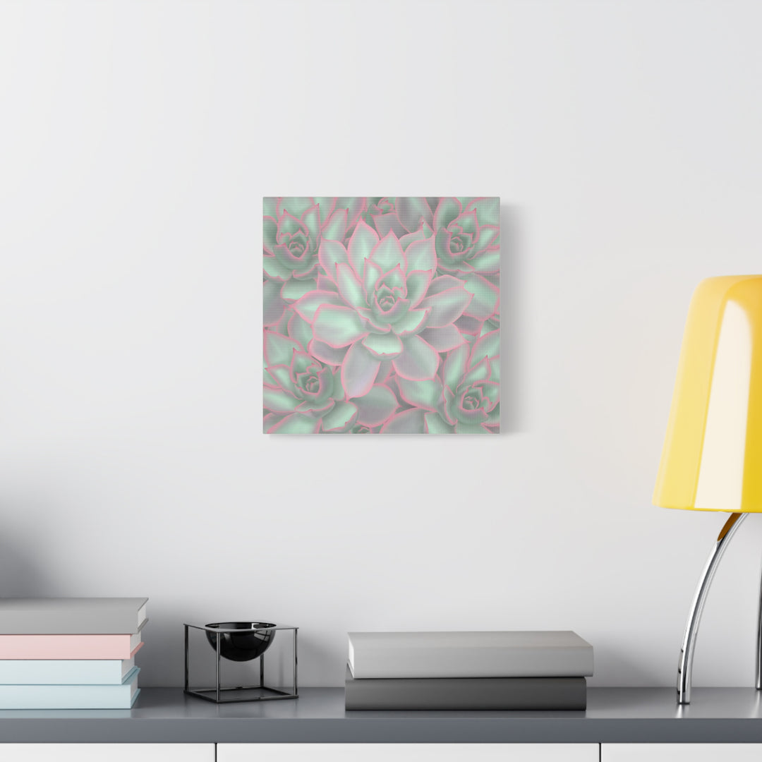 Echeveria Violet Queen Canvas Wall Art Succulent Print Matte Botanical Decor For Indoor Spaces