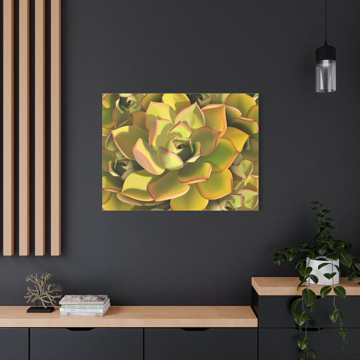 Succulent Canvas Art Vibrant Aeonium Print On Matte Canvas Wall Decor 12x18 Inches Indoor Home