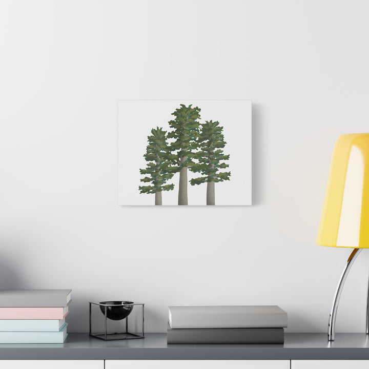 Sitka Spruce Canvas Print – Wall Art