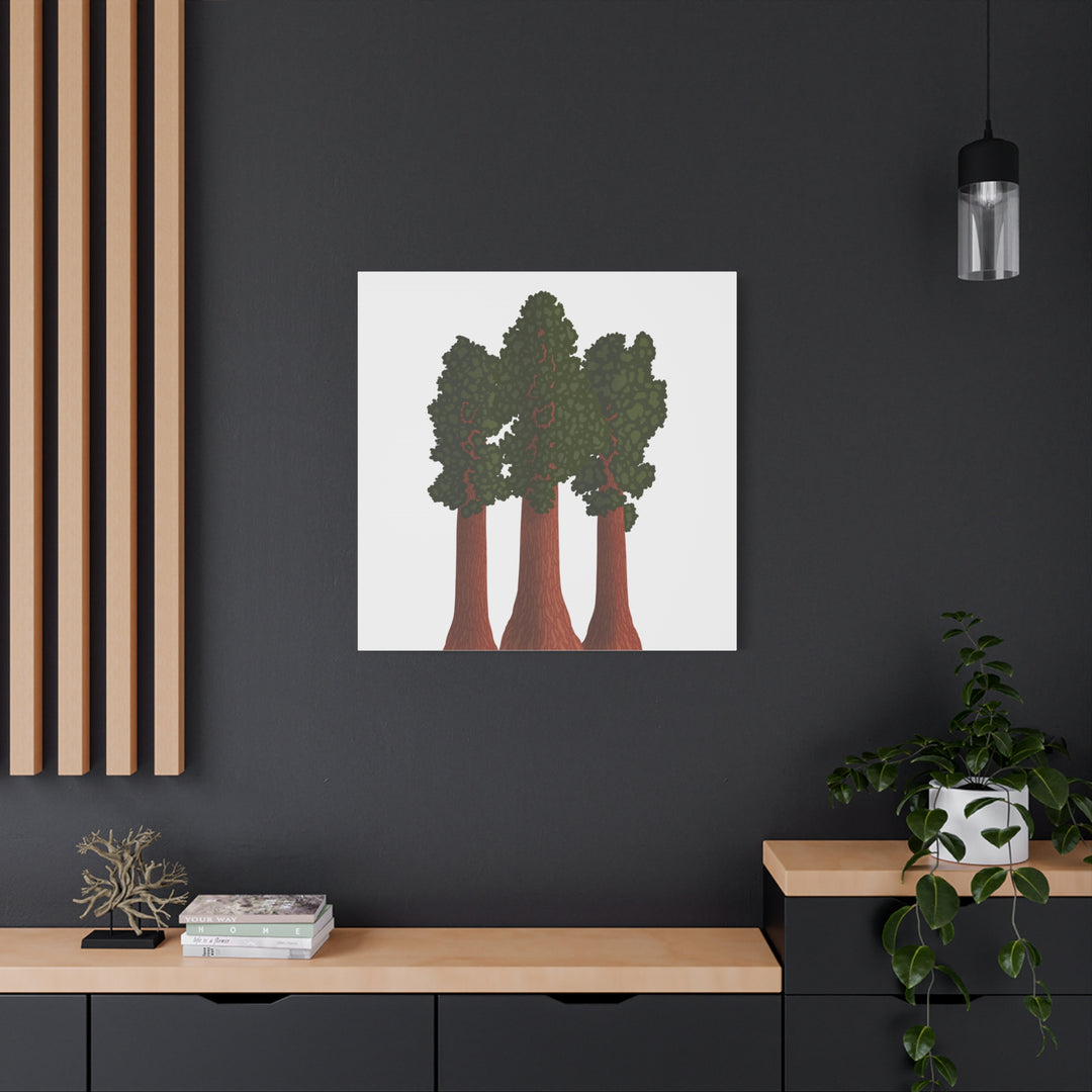 Giant Sequoias Canvas Print – Wall Art