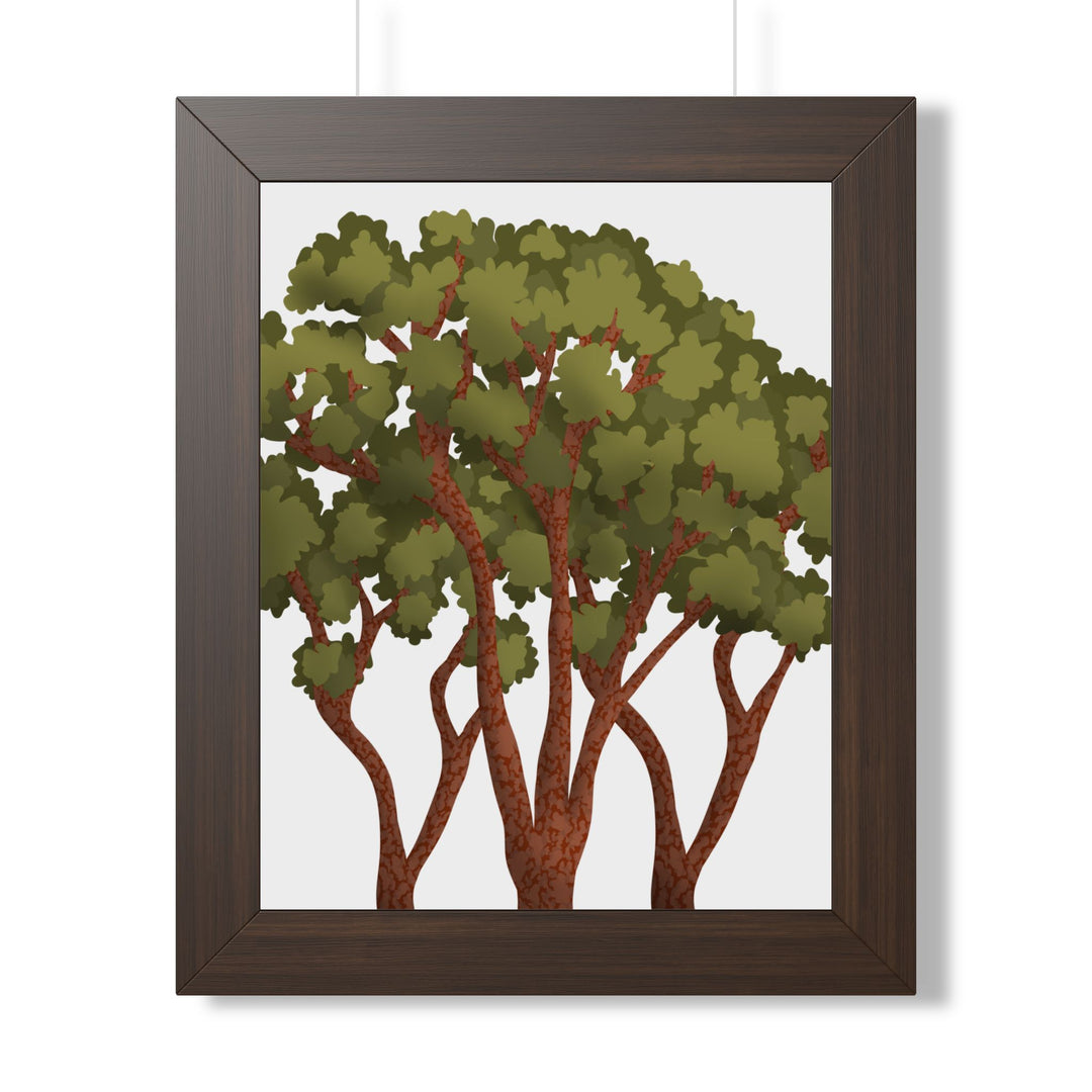Pacific Madrone Framed Print – Wall Art
