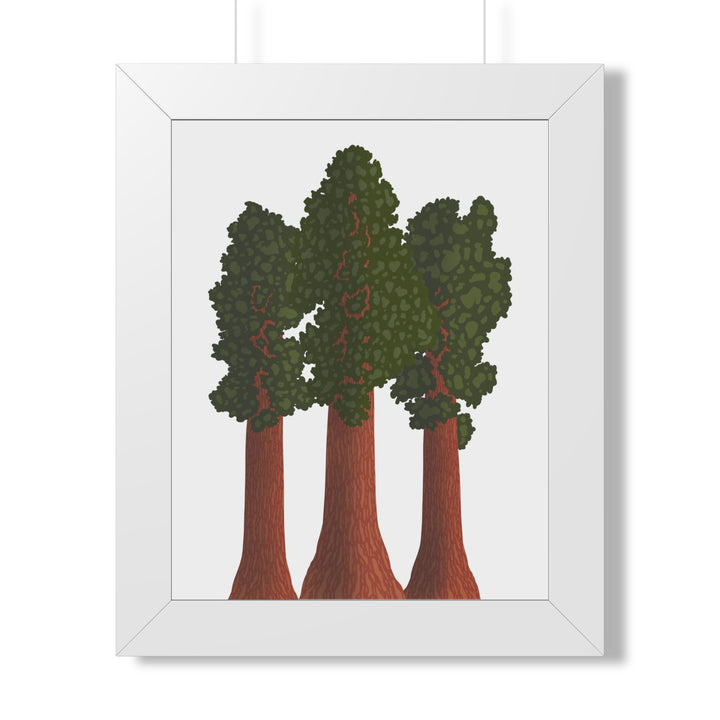 Giant Sequoias Framed Print – Wall Art
