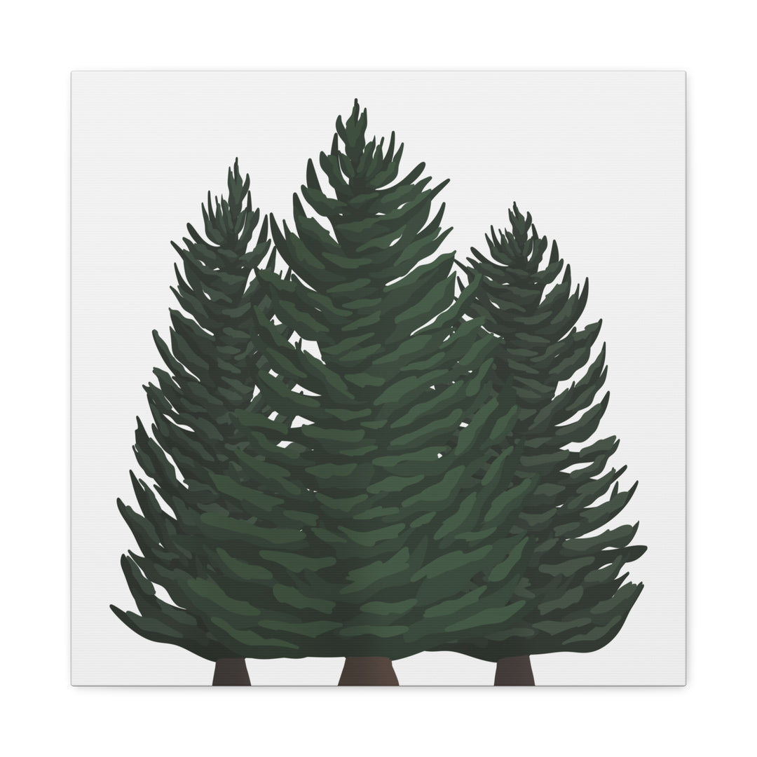 Douglas Fir Canvas Print – Wall Art