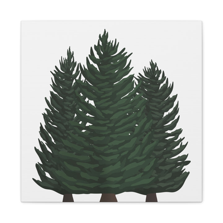 Douglas Fir Canvas Print – Wall Art