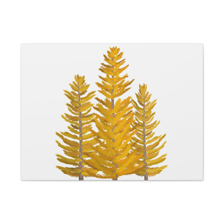 Western Larch Canvas Print – Wall Art