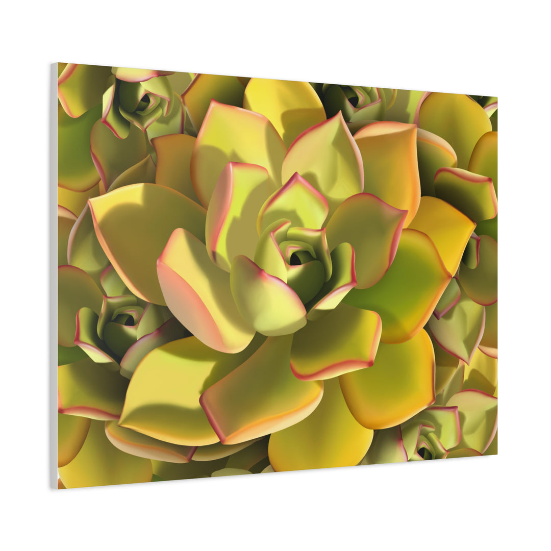 Succulent Canvas Art Vibrant Aeonium Print On Matte Canvas Wall Decor 12x18 Inches Indoor Home