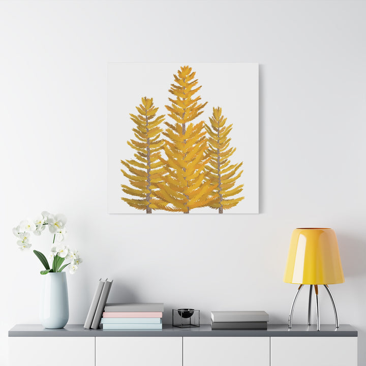 Western Larch Canvas Print – Wall Art