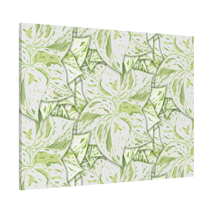 Snow Queen Pothos Canvas Print With Variegated White Leaves In Matte Finish For Modern Home Decor