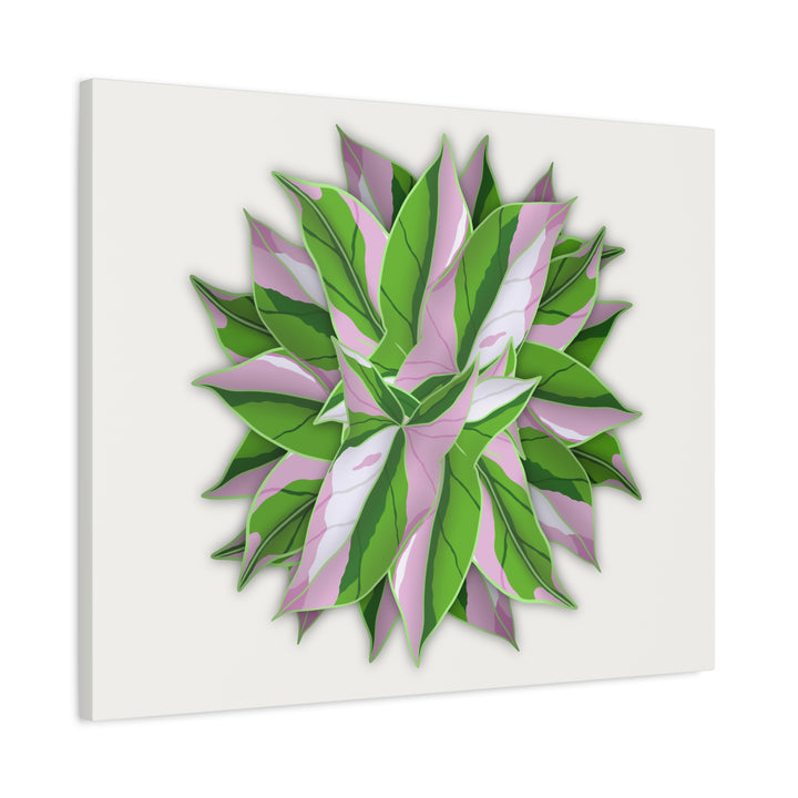Syngonium Tricolor Canvas Print – Botanical Wall Art - The Potted Pixel