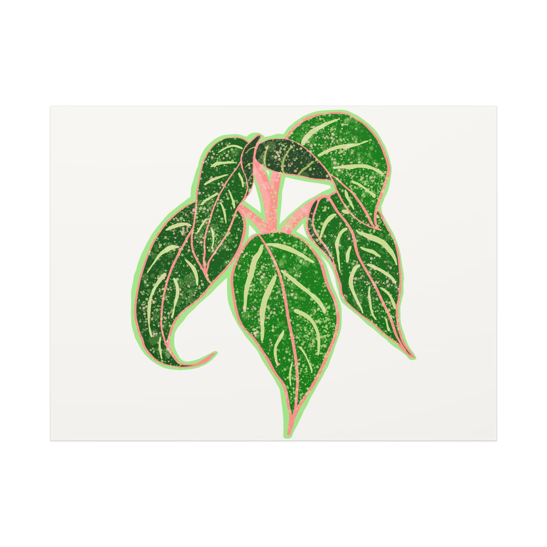 Aglaonema Sparkling Sarah Botanical Canvas Print On Matte Stretch Canvas For Modern Living Room Decor