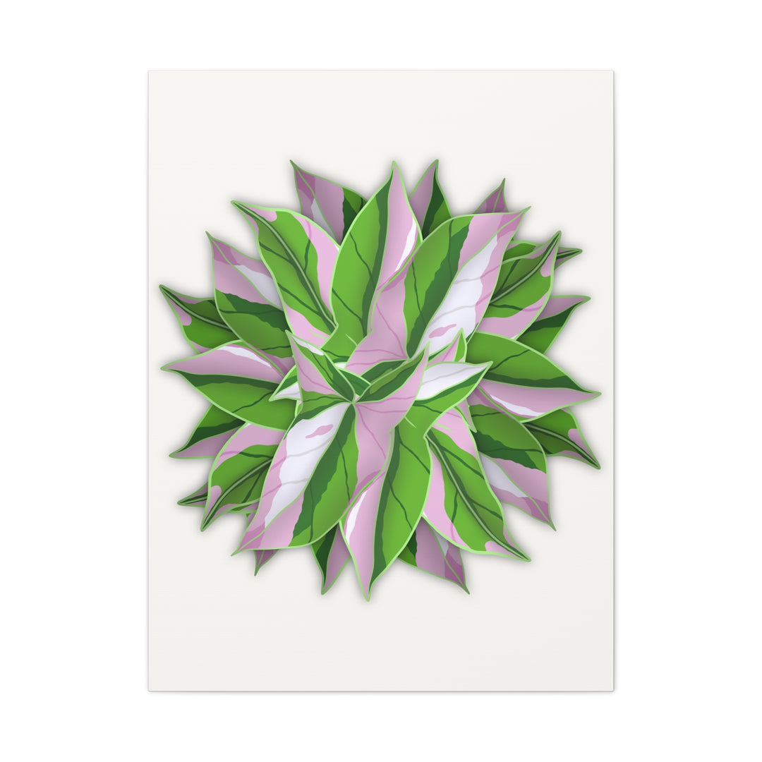 Syngonium Tricolor Canvas Print – Botanical Wall Art - The Potted Pixel