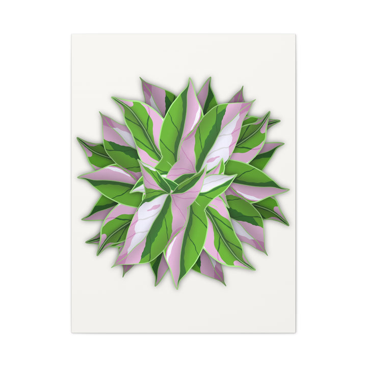 Syngonium Tricolor Canvas Print – Botanical Wall Art - The Potted Pixel