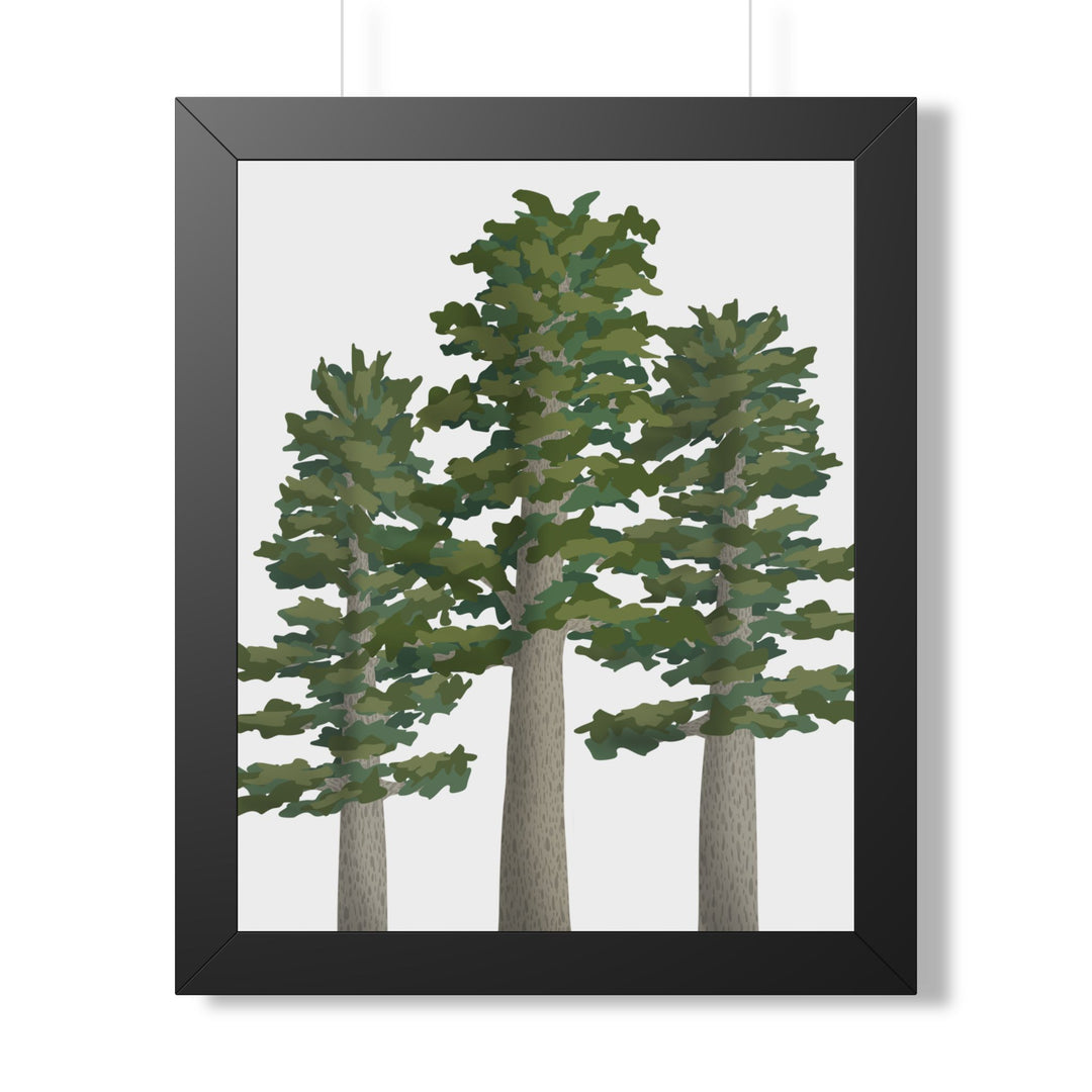 Sitka Spruce Framed Print – Wall Art