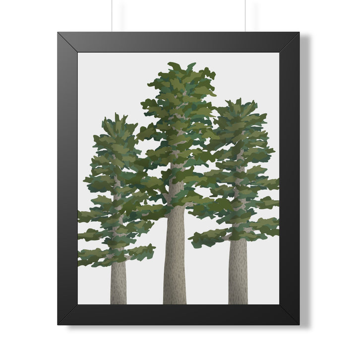 Sitka Spruce Framed Print – Wall Art