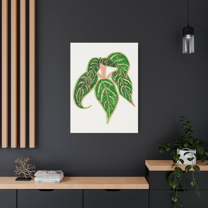 Aglaonema Sparkling Sarah Botanical Canvas Print On Matte Stretch Canvas For Modern Living Room Decor