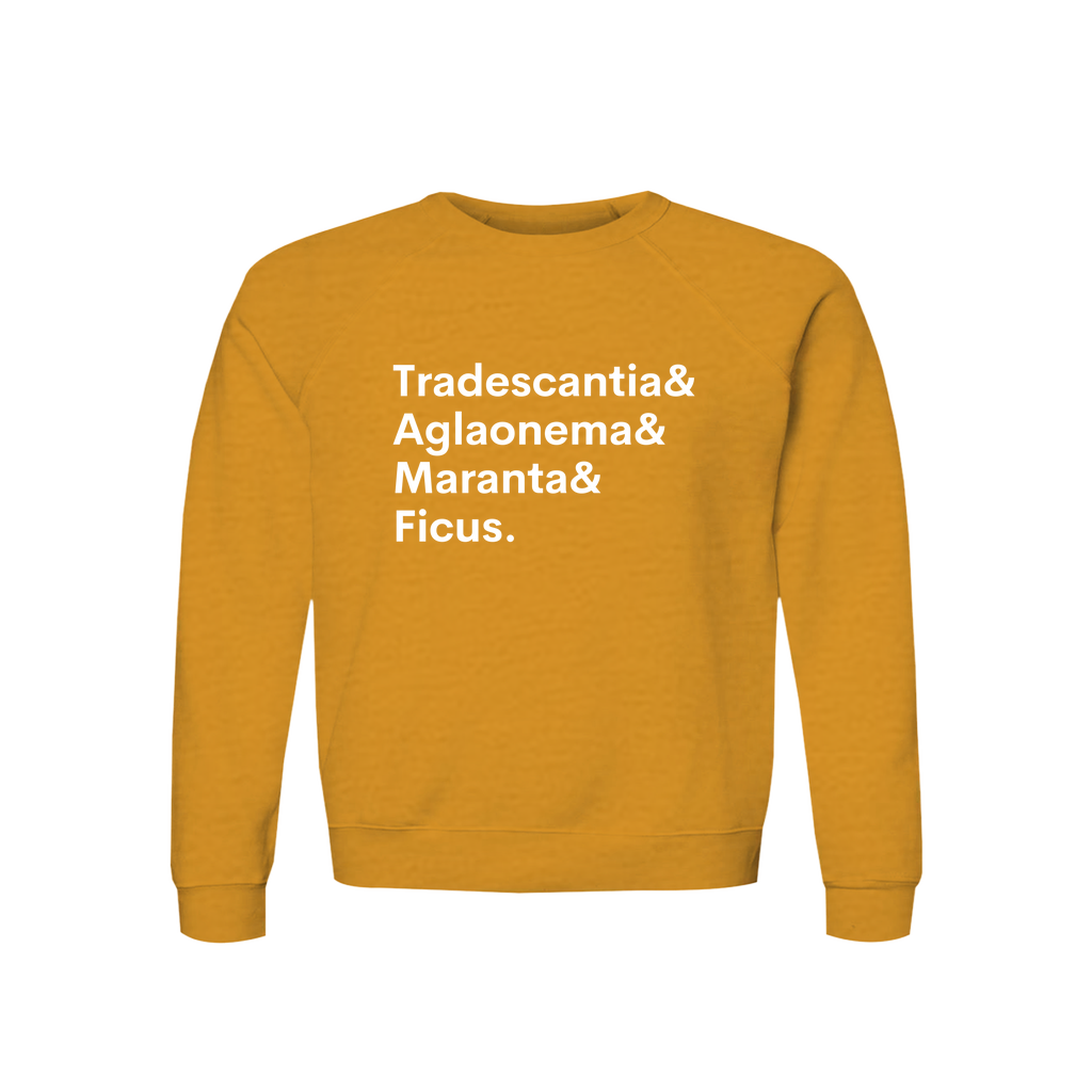 Apparel-DTG-Sweatshirt-Bella-3901-M-HeatherMustard-Unisex-CF-20260810201746702