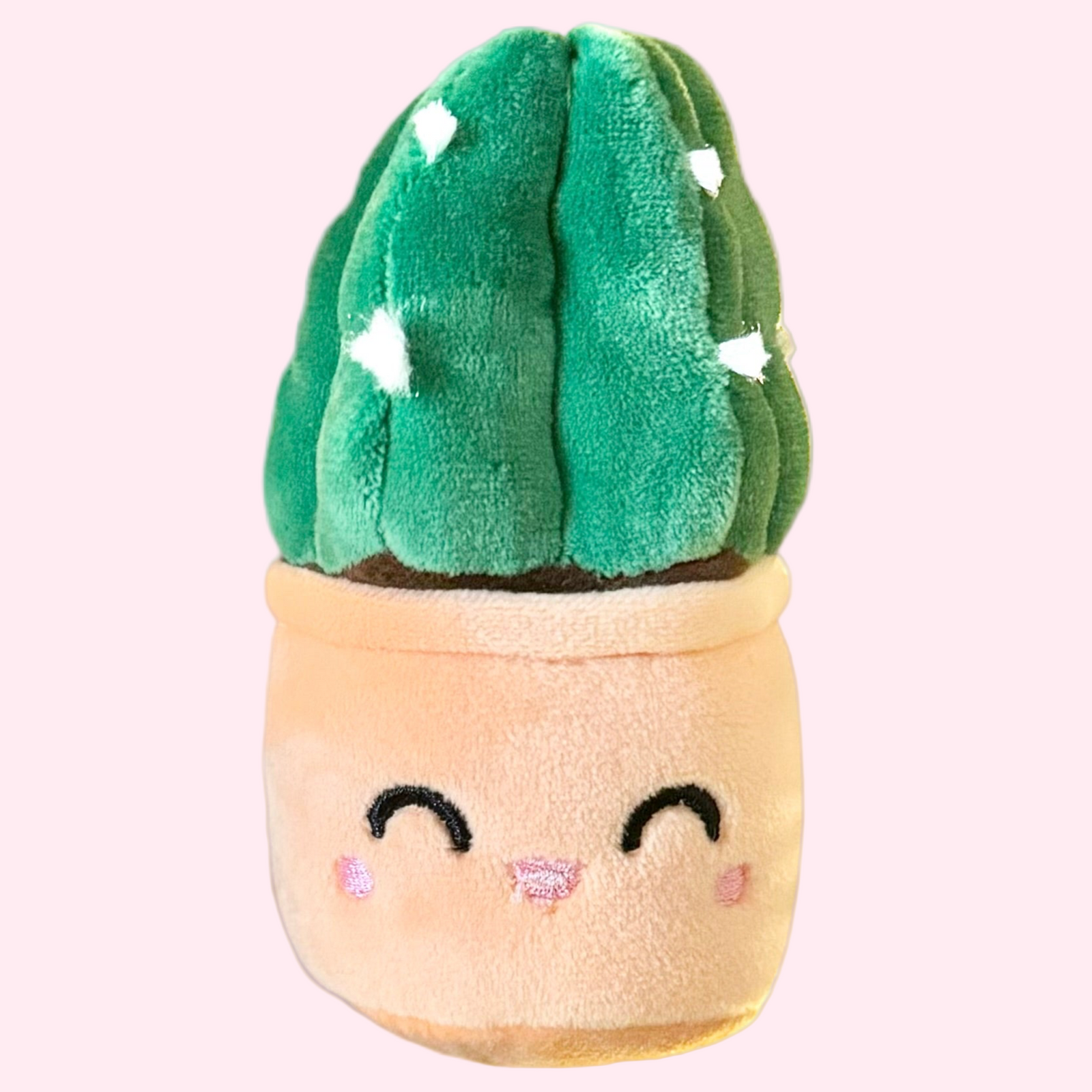 Cuddly Cactus Plush Keychain – 5″ Plant Lover Bag Charm