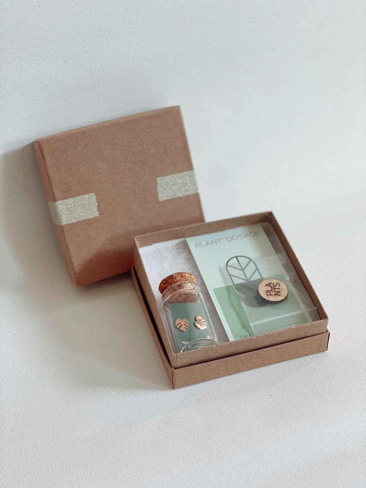 Rhaphidophora Decursiva Metal Stud Earrings