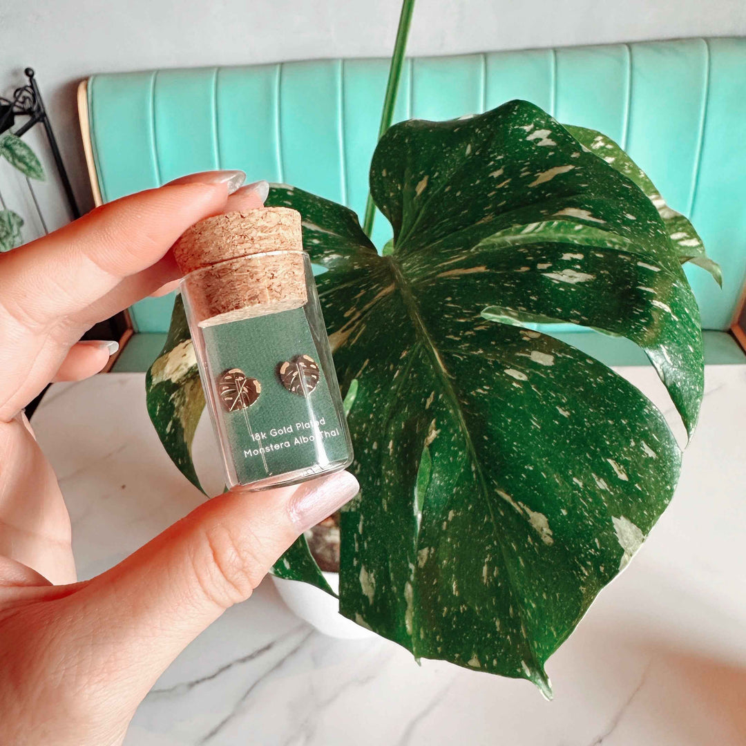 Monstera Albo/Thai Metal Stud Earrings