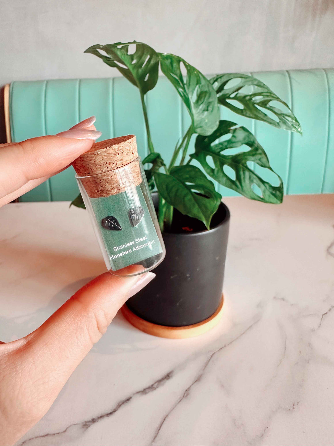 Monstera Adansonii Metal Stud Earrings