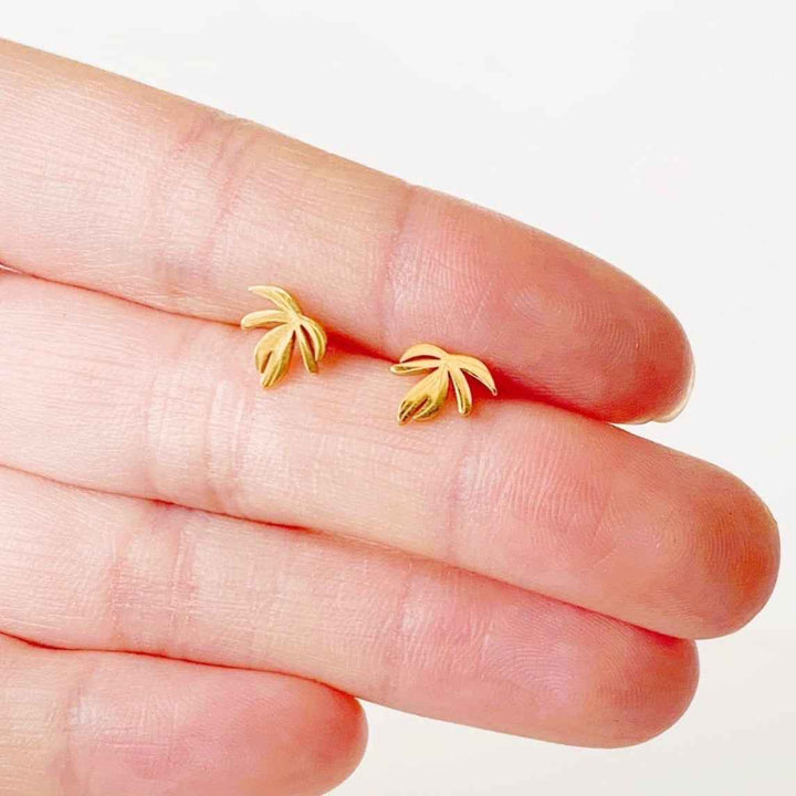 Rhaphidophora Decursiva Metal Stud Earrings