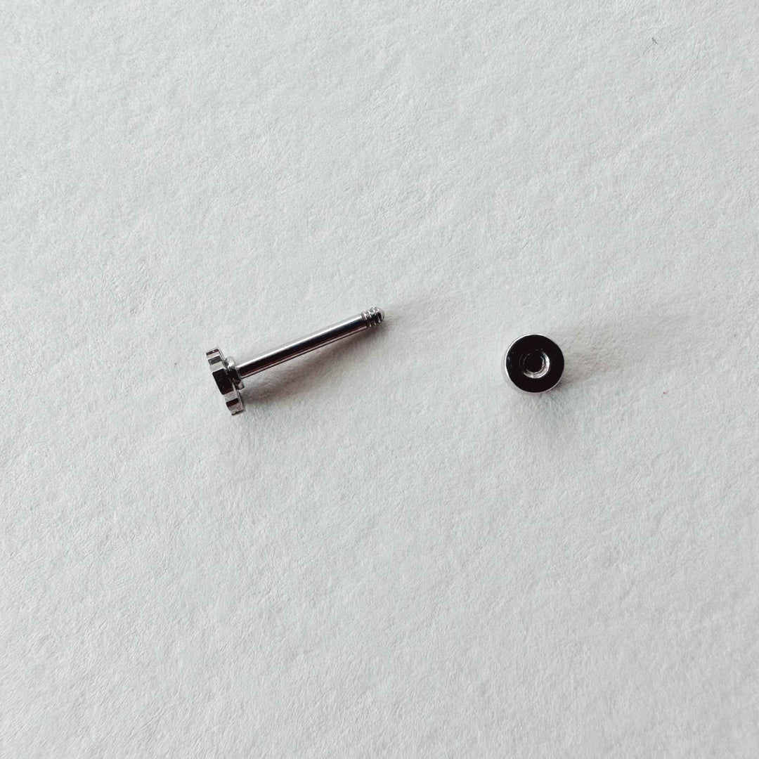 Flat Back- Teeniest Tiniest Monstera Deliciosa Earring Studs