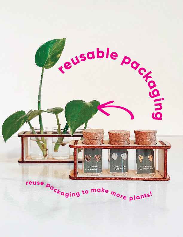 Custom Etched Propagation Stand + 3 Set Tiny Houseplant Earring Studs