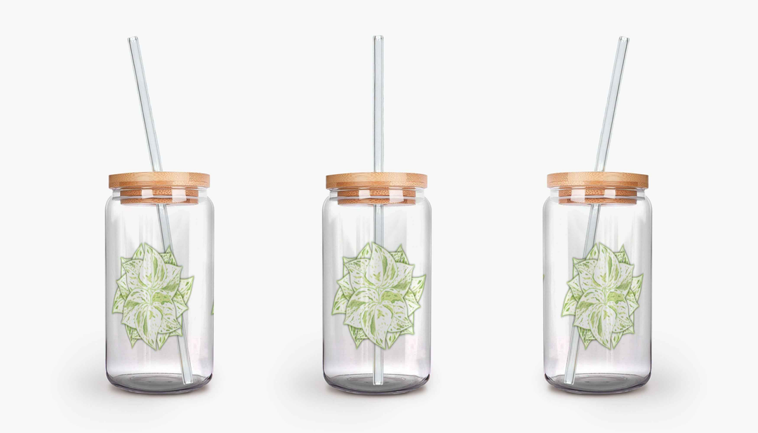 Snow Queen Pothos Soda Can Glass – 16 oz Durable Glass Tumbler with Bamboo Lid & Straw (Copy) (Copy)