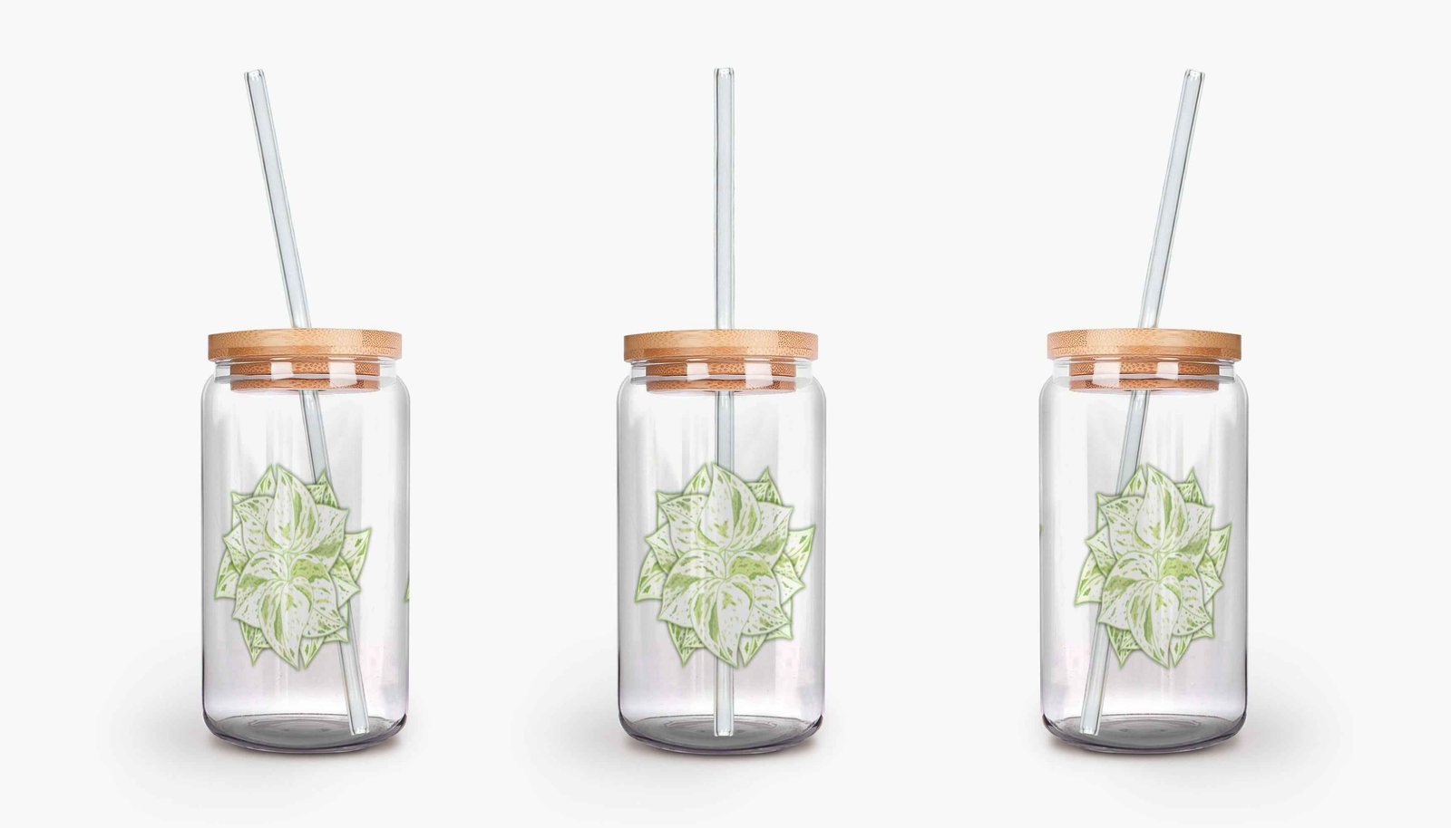 Snow Queen Pothos Soda Can Glass – 16 oz Durable Glass Tumbler with Bamboo Lid & Straw (Copy) (Copy)