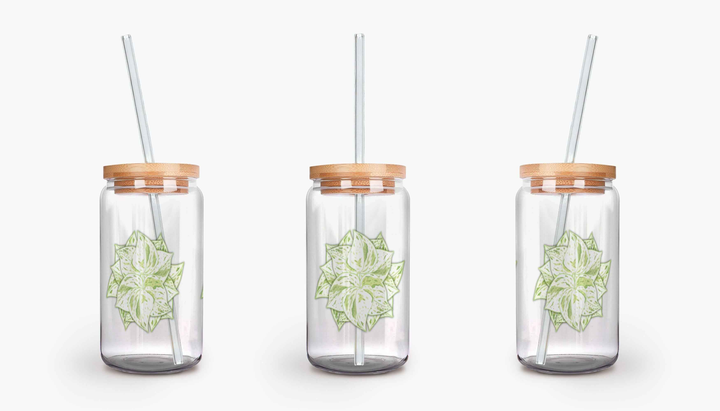 Snow Queen Pothos Soda Can Glass – 16 oz Durable Glass Tumbler with Bamboo Lid & Straw (Copy) (Copy)