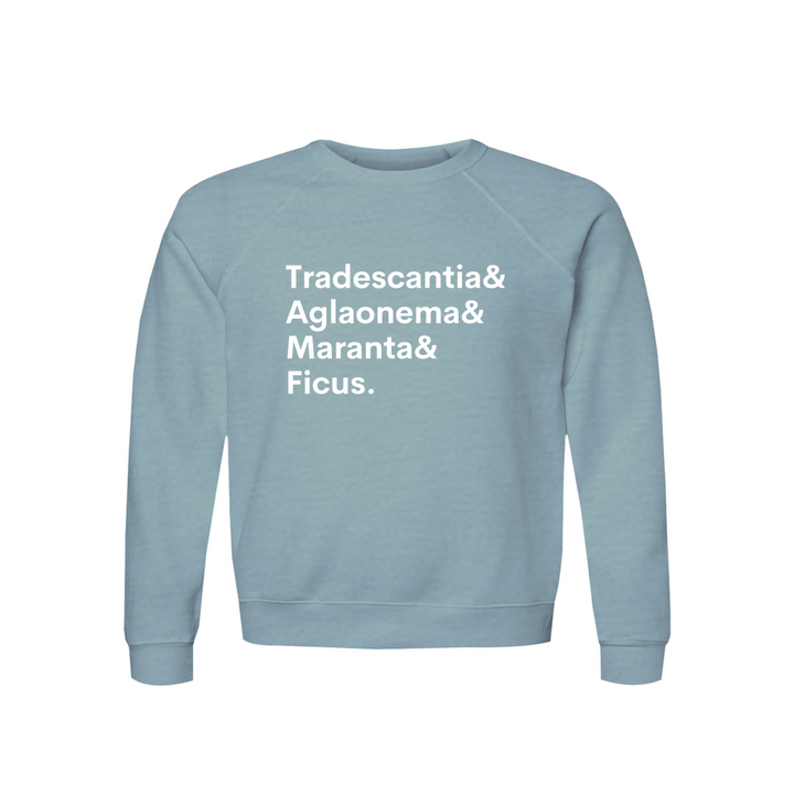 Apparel-DTG-Sweatshirt-Bella-3901-XL-HeatherBlueLagoon-Unisex-CF-20260810201746702