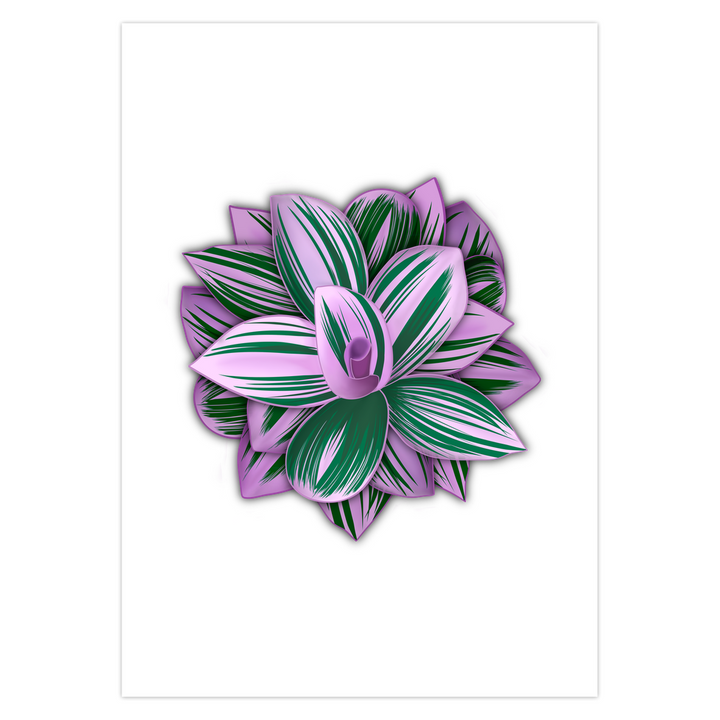 POS Tradescantia Nanouk Greeting Card – 5 Pack