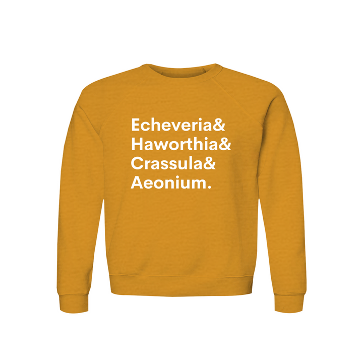 Apparel-DTG-Sweatshirt-Bella-3901-XL-HeatherMustard-Unisex-CF-20260810200340558