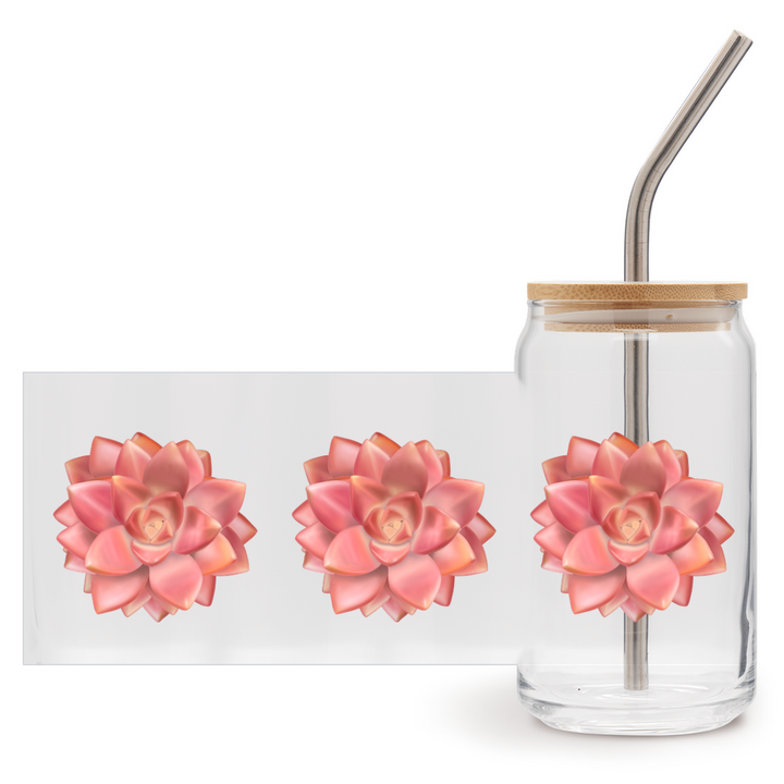 Graptosedum California Sunset Succulent Soda Can Glass – 16 oz Tumbler With Bamboo Lid And Straw