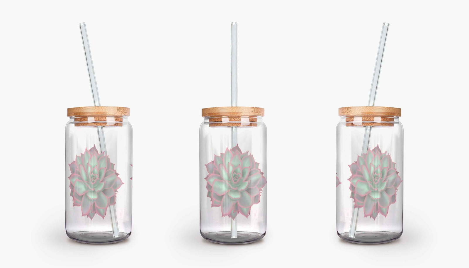 Echeveria "Violet Queen" Succulent Soda Can Glass – 16 oz Durable Glass Tumbler with Bamboo Lid & Straw