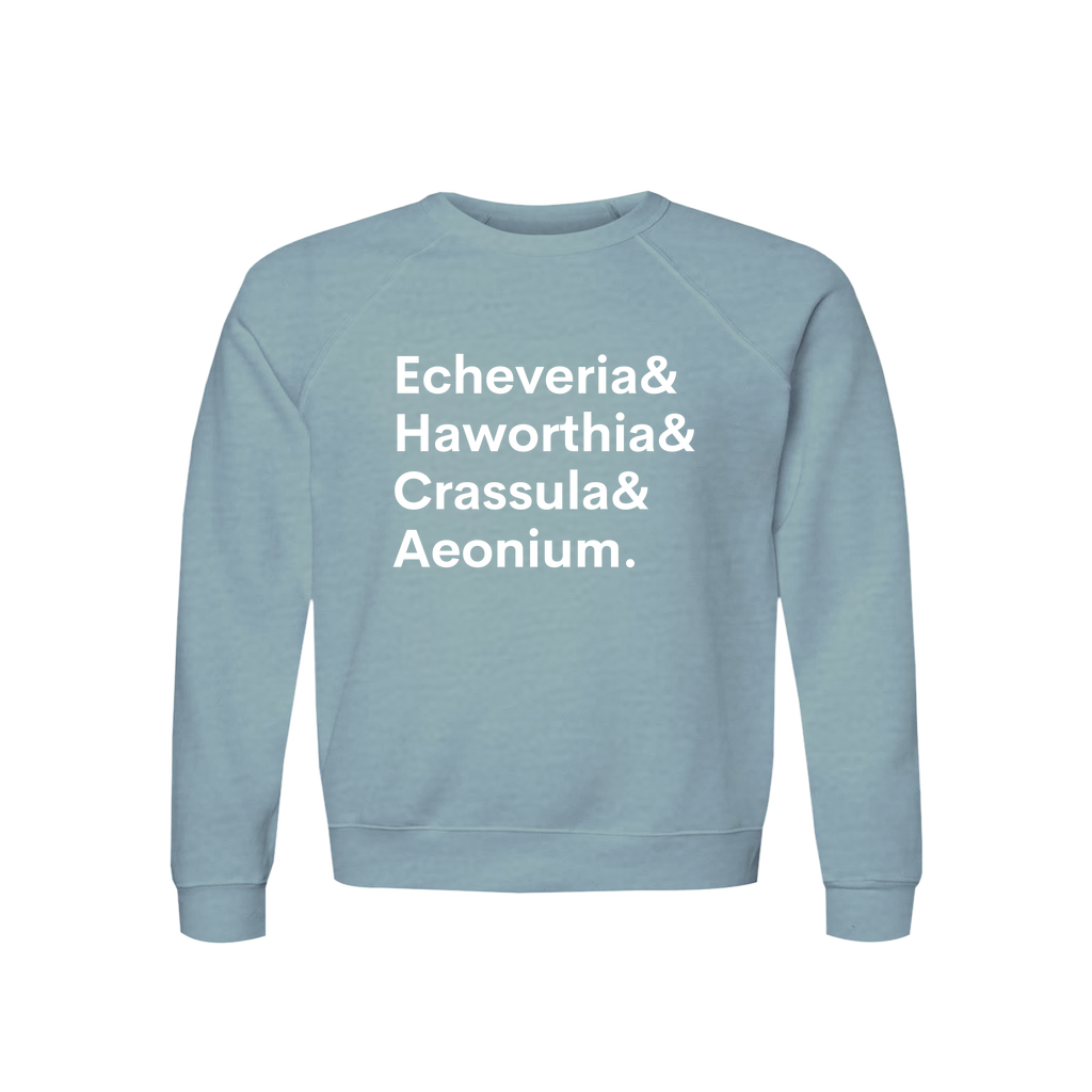 Apparel-DTG-Sweatshirt-Bella-3901-XS-HeatherBlueLagoon-Unisex-CF-20260810200340557