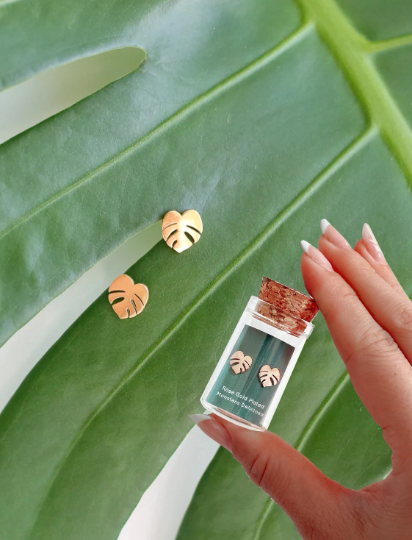 Custom Etched Propagation Stand + 3 Set Tiny Houseplant Earring Studs