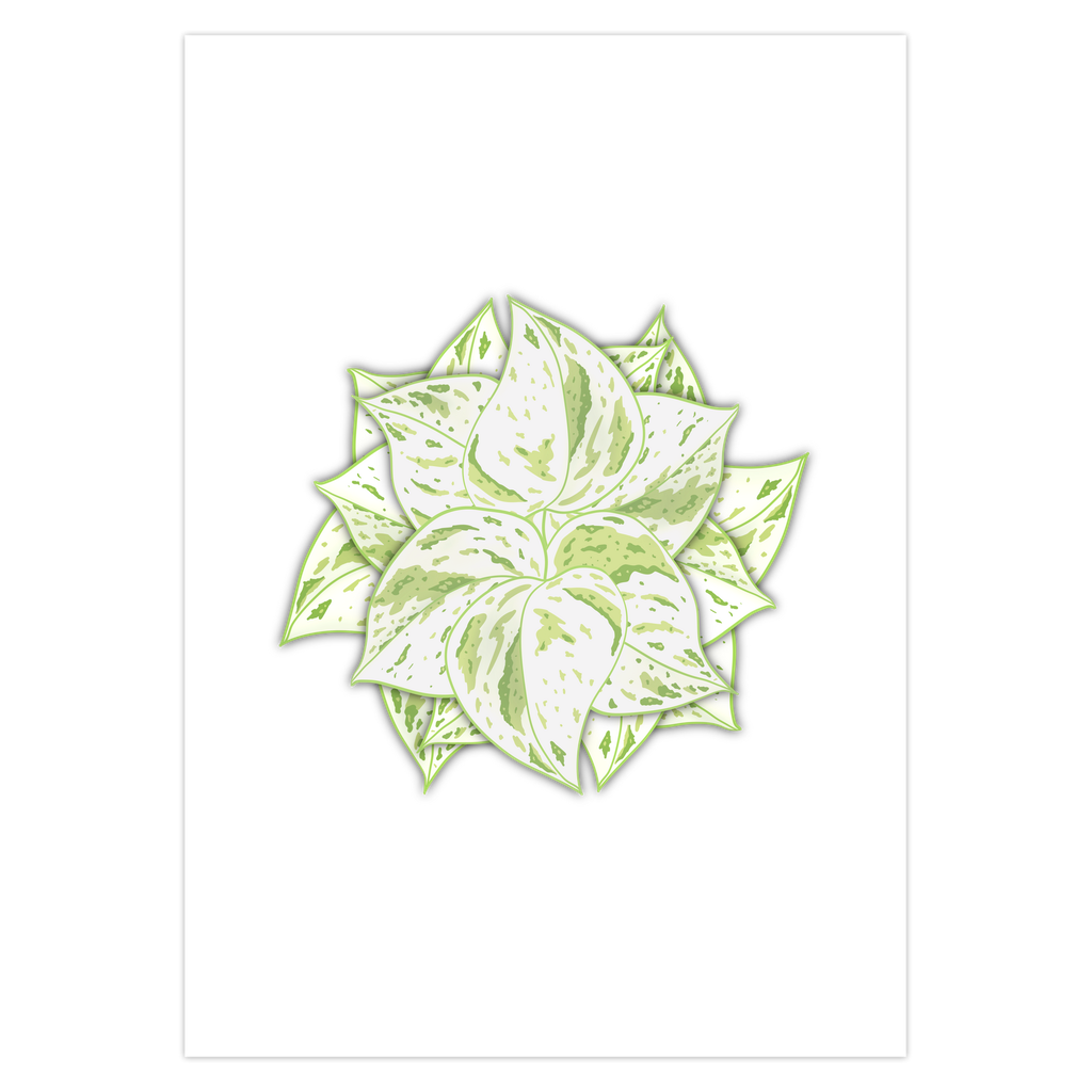 POS Snow Queen Pothos Greeting Card – 5 Pack