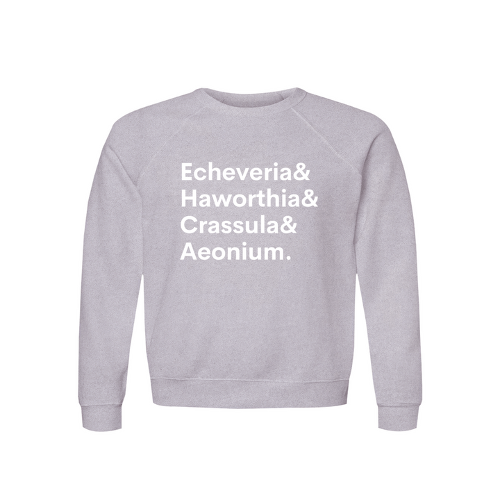 Apparel-DTG-Sweatshirt-Bella-3901-S-AthleticHeather-Unisex-CF-20260810200340556