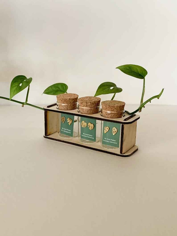 Custom Etched Propagation Stand + 3 Set Tiny Houseplant Earring Studs