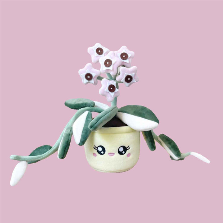 Hoya Carnosa Krimson Queen Plushie