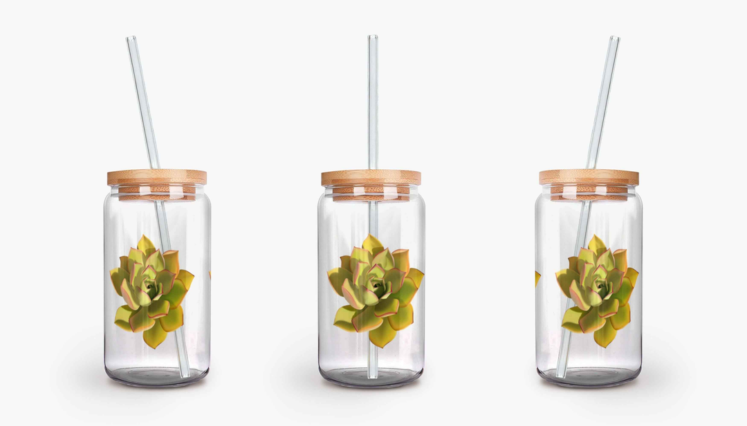 Noble Aeonium Succulent Soda Can Glass – 16 oz Durable Glass Tumbler with Bamboo Lid & Straw