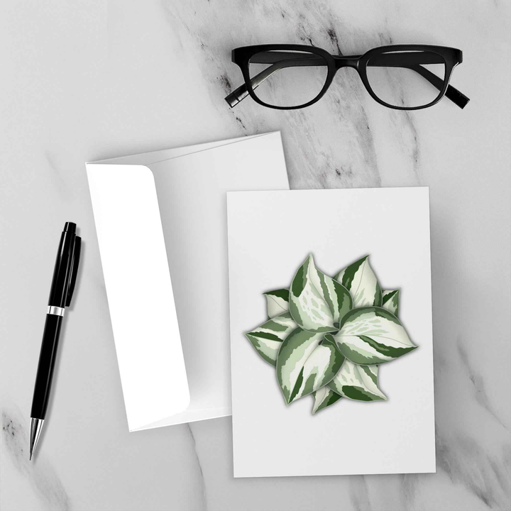 Manjula Pothos Card – Botanical Greeting Cards With Heart Leaf Design & Envelopes Included