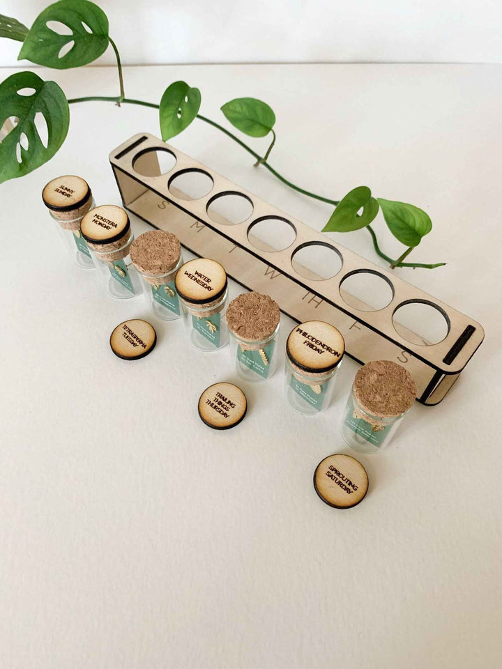 Custom Etched Propagation Stand + 3 Set Tiny Houseplant Earring Studs