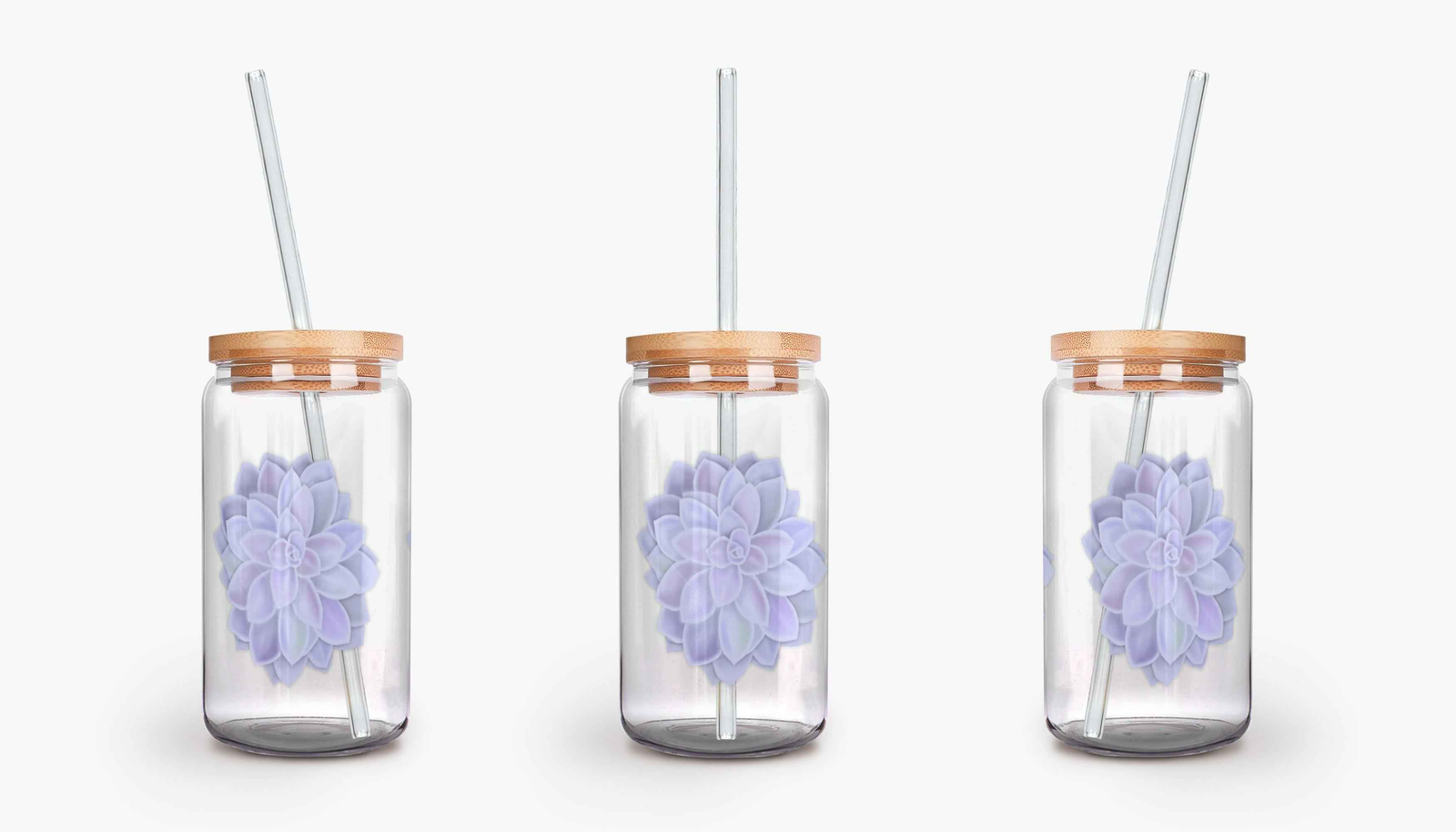 Graptopetalum Murasaki Succulent Soda Can Glass – 16 oz Durable Glass Tumbler with Bamboo Lid & Straw