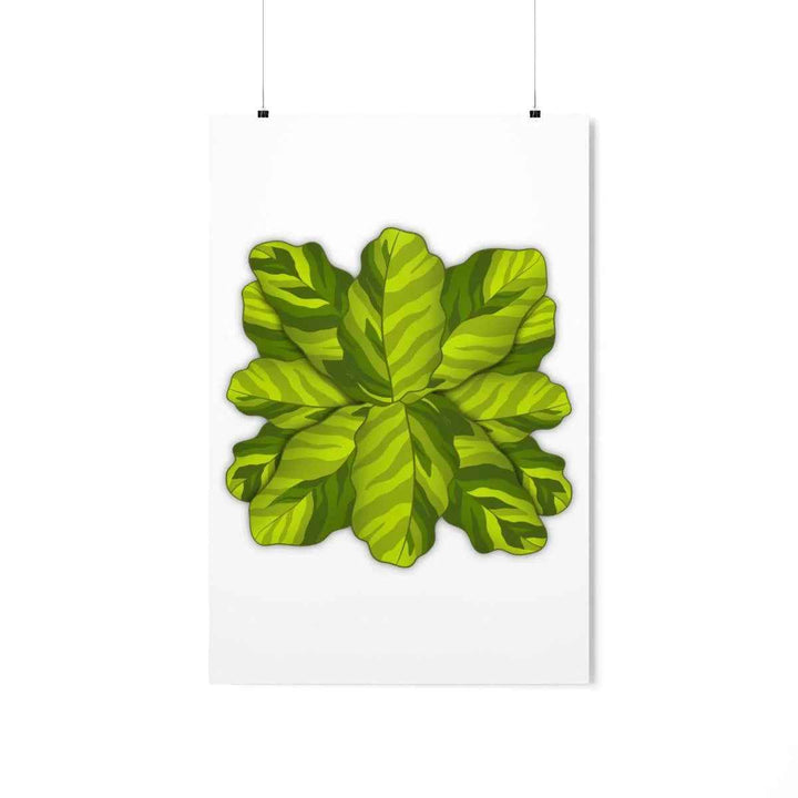 Calathea Yellow Fusion Print – Botanical Wall Art on Museum-Grade Paper Unframed - The Potted Pixel