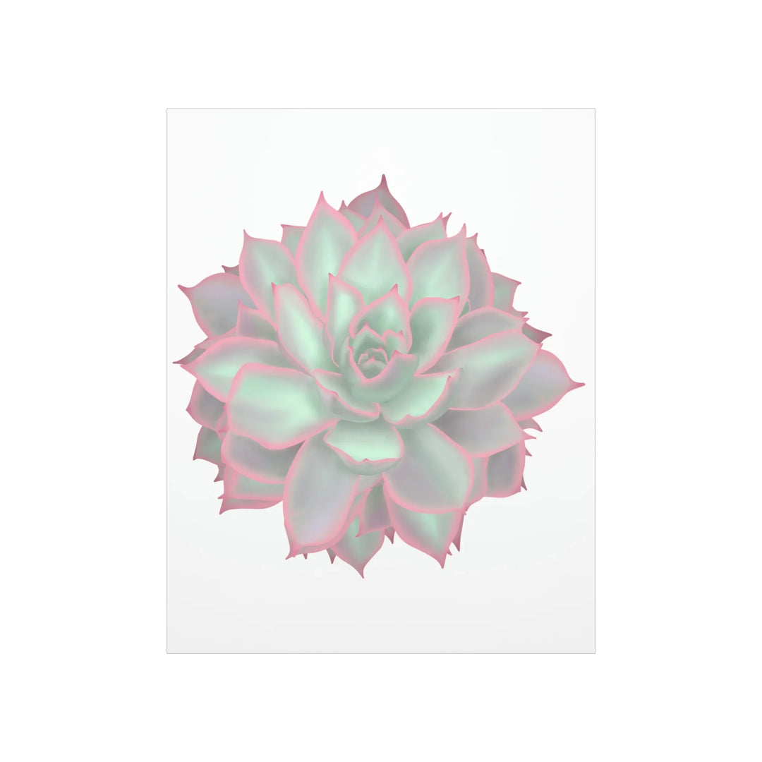 Echeveria Violet Queen Print Succulent Wall Art Botanical Poster On Museum Grade Paper For Indoor Plant Decor