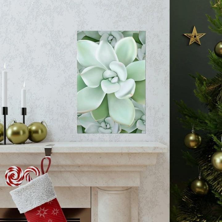 Pachyveria Haagei Succulent Pattern Print, Poster, Printify, Back to School, Home & Living, Indoor, Matte, Paper, Posters, Valentine's Day promotion, Laura Christine Photography & Design, laurachristinedesign.com