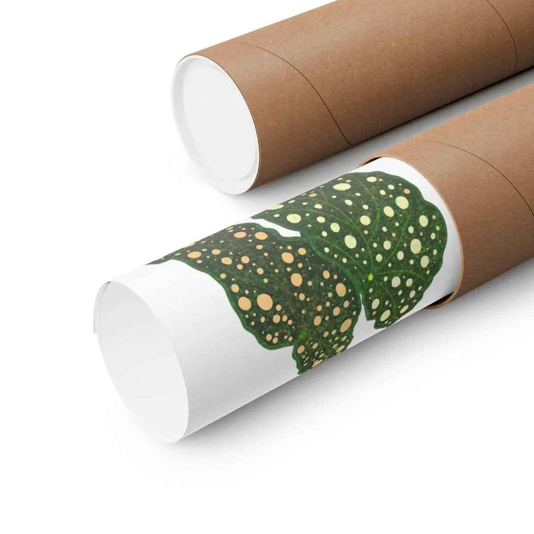 Begonia Maculata Print - Botanical Wall Art on Museum Grade Paper | Matte Finish Unframed - The Potted Pixel